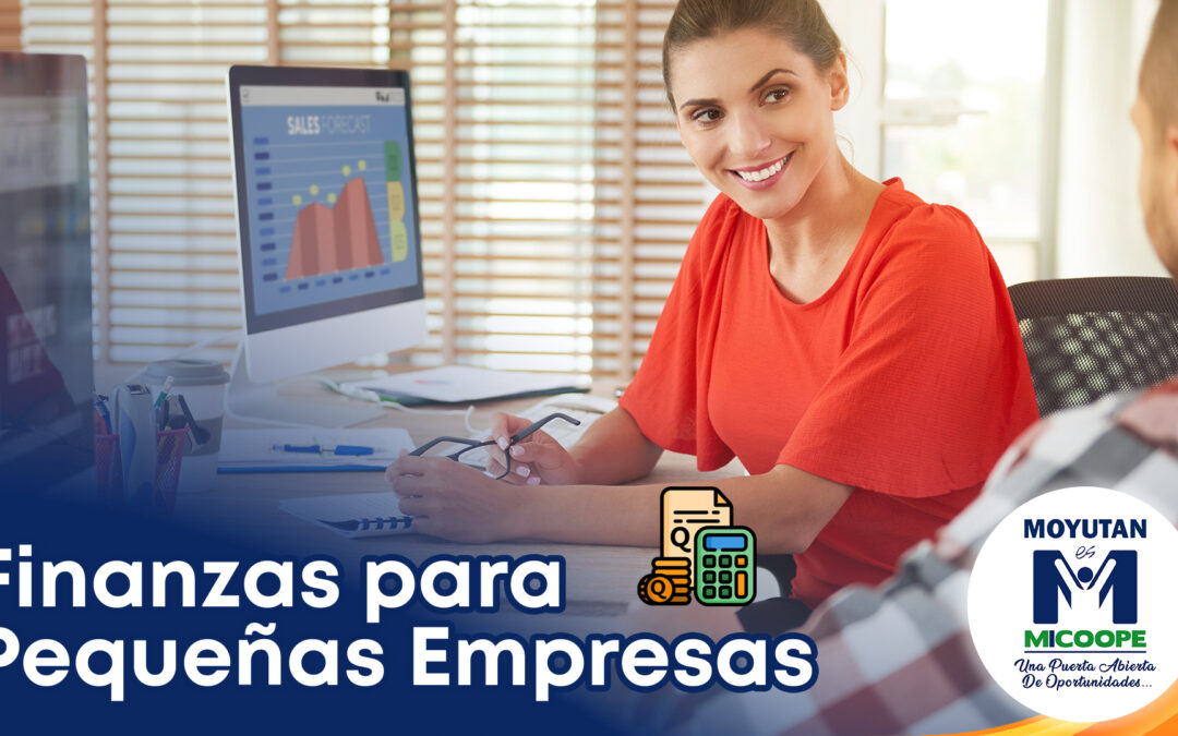 Finanzas para Pequeñas Empresas